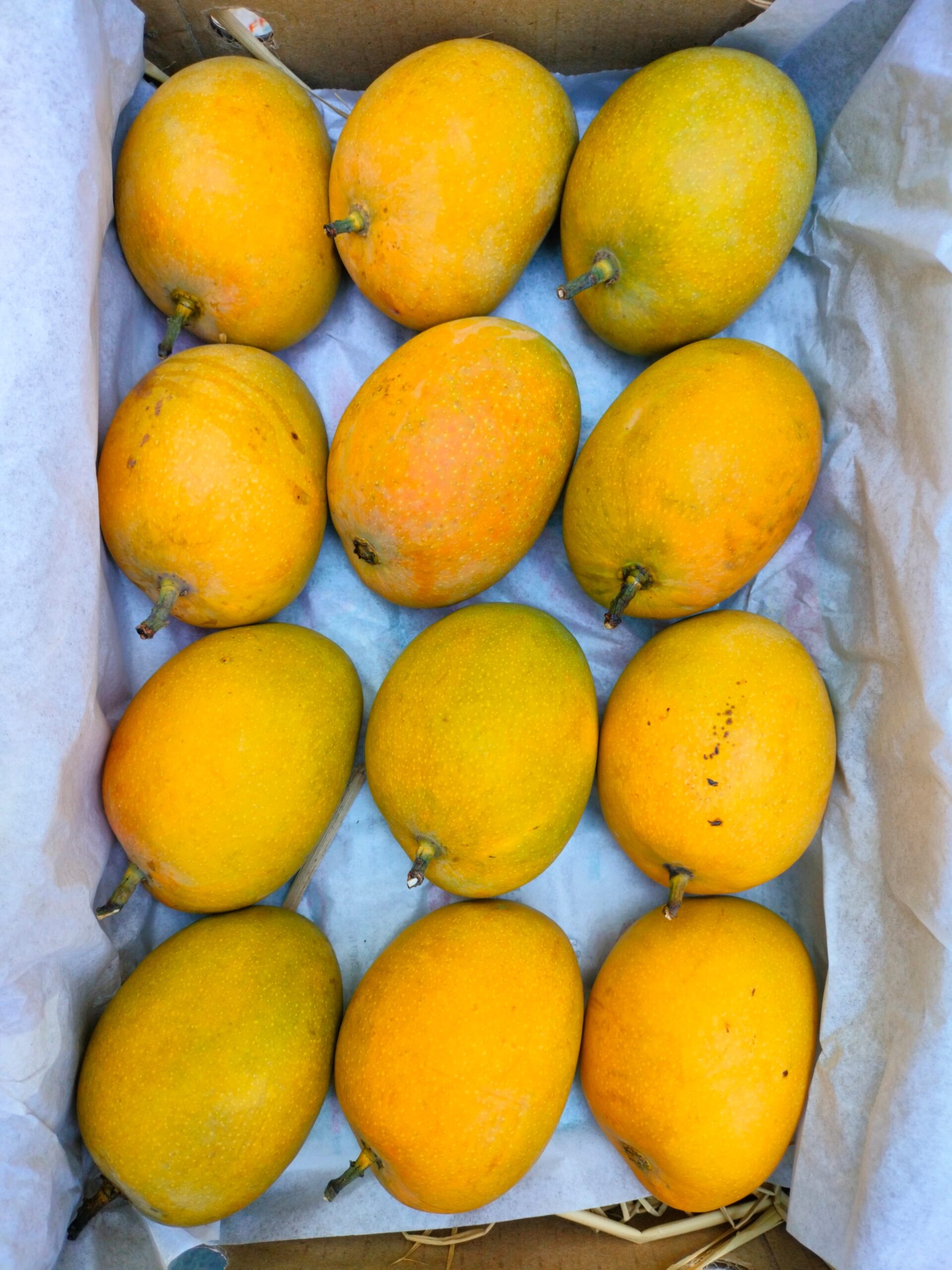 good-vibes 5187fd36 50e5 4908 86e8 62a7d0f611bb