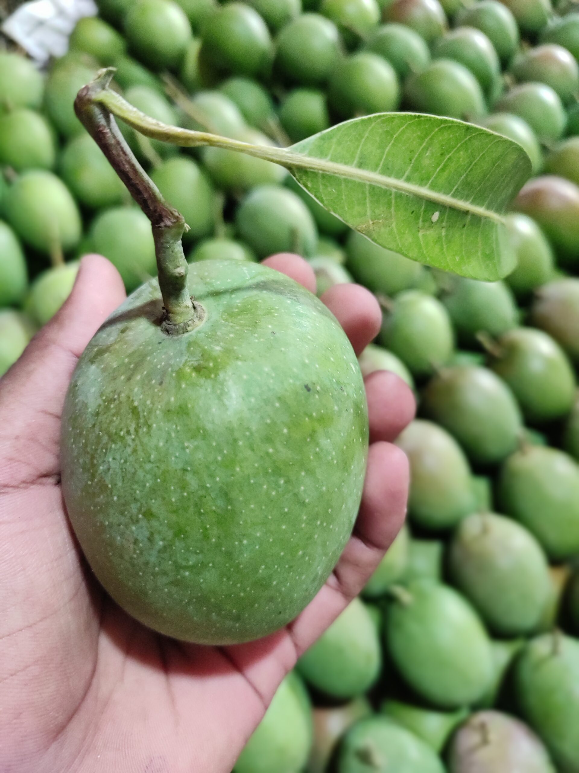 Home img 20220418 182305