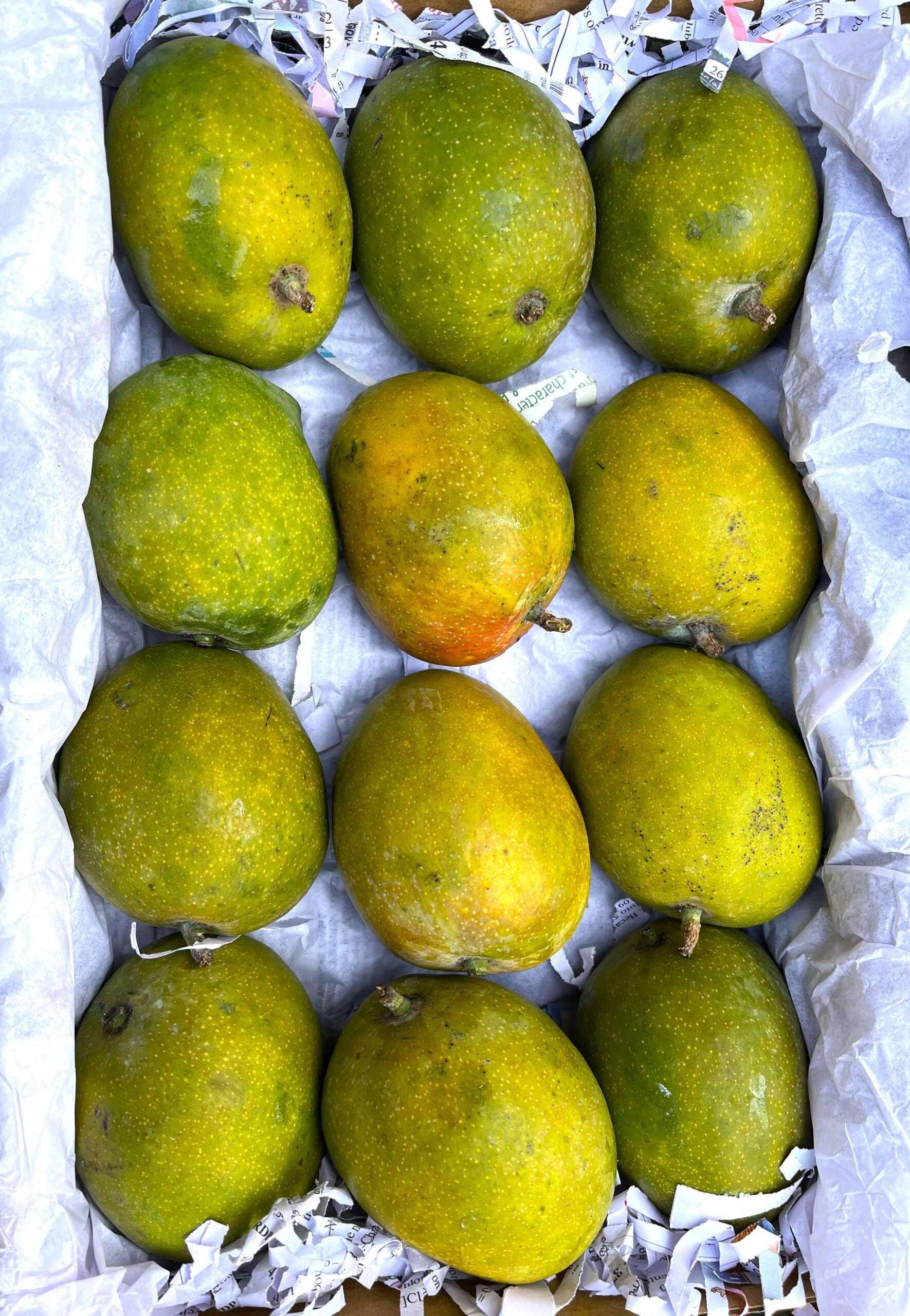 relax-atmosphere img 5964