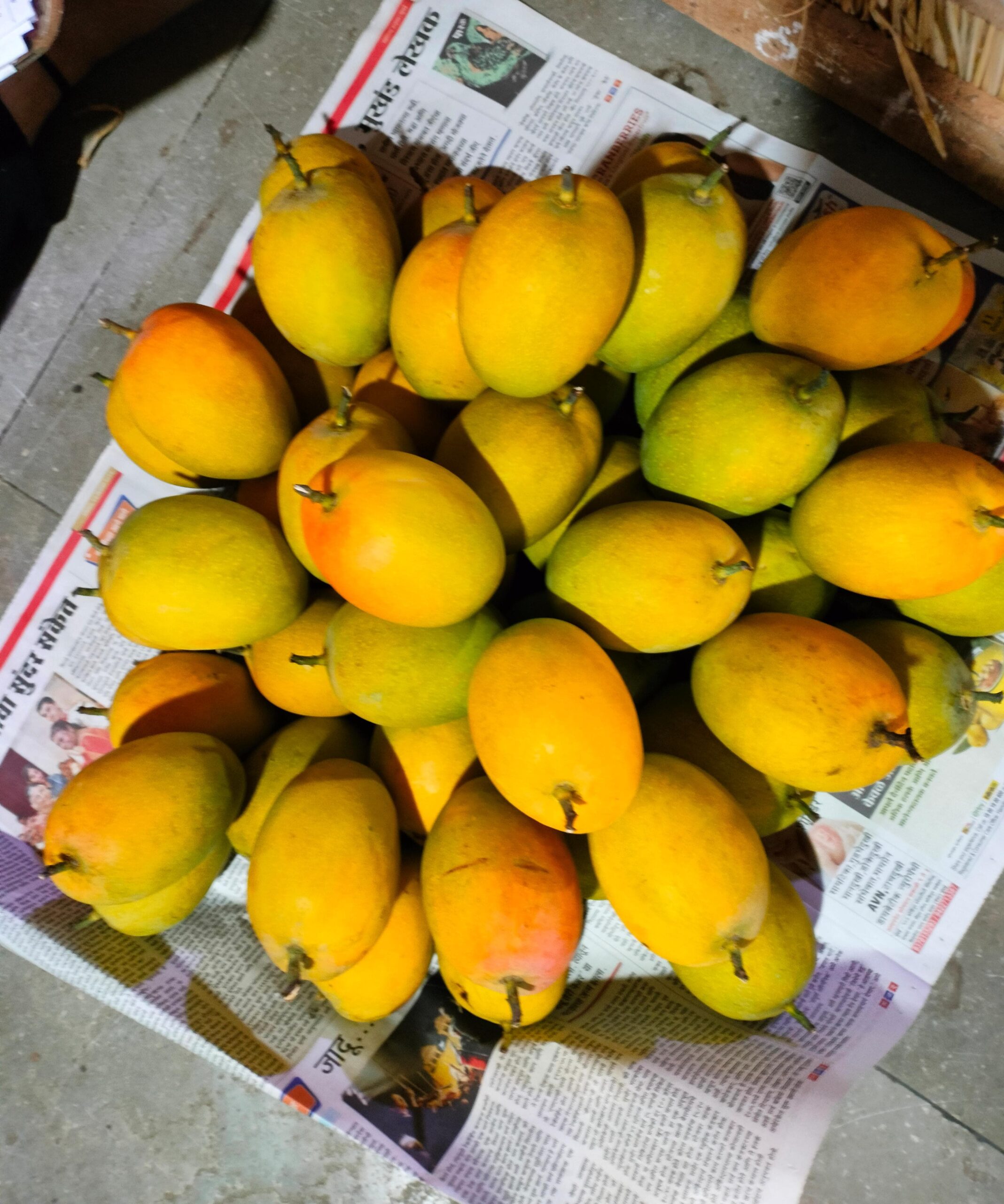 cozy-place a2dfc7d4 6fc2 41bd 85a7 ca0c55360b08